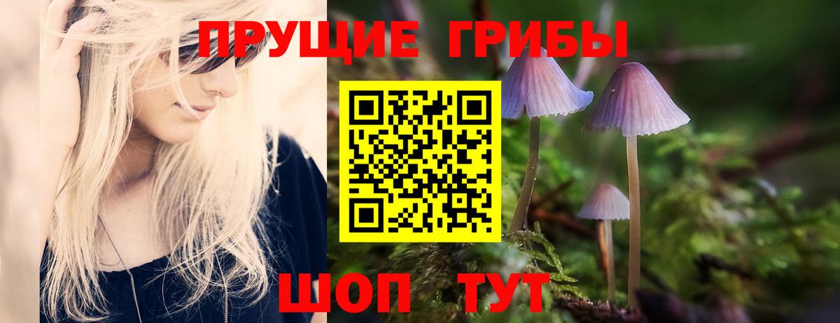 Галлюциногенные грибы прущие грибы  Галлюциногенные грибы MAGIC MUSHROOMS  Саянск  Вход с VPN 